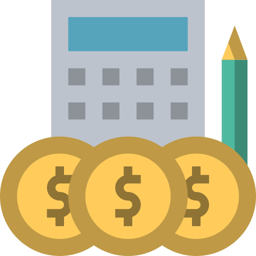 Organização Financeira Vida Nova